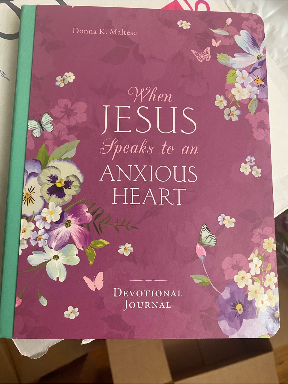 When Jesus Speaks to an Anxious Heart Devotional Journal - Plum